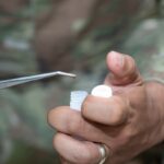 Tick season: What to know before heading outdoors